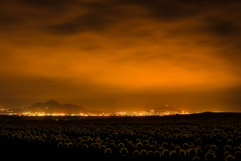 Ночной Пятигорск. Вид через подсолнуховые поля