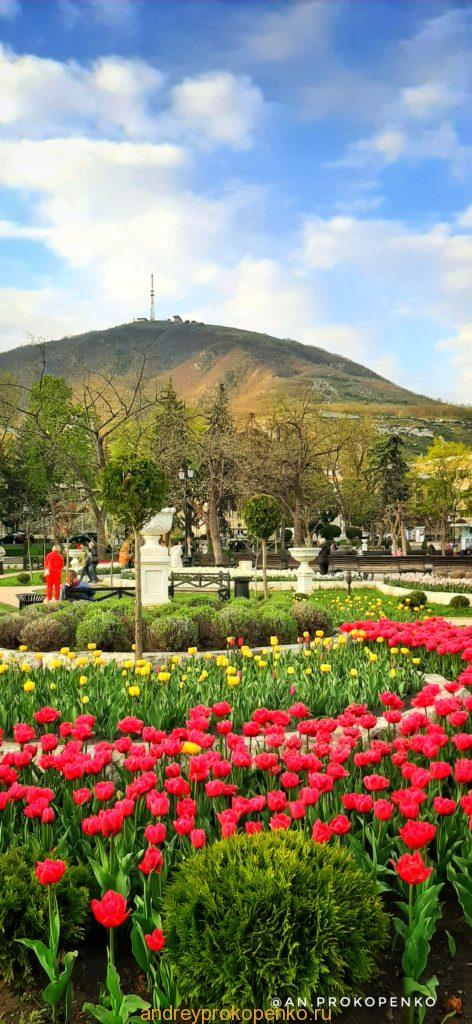 Весенняя красота парка Цветник в Пятигорске
