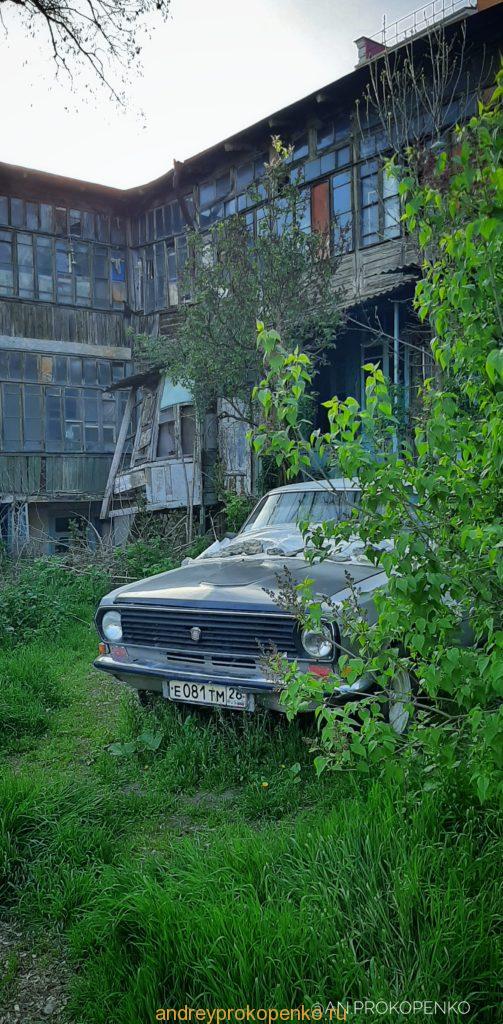 Последние фото из городов КМВ и Ставрополья