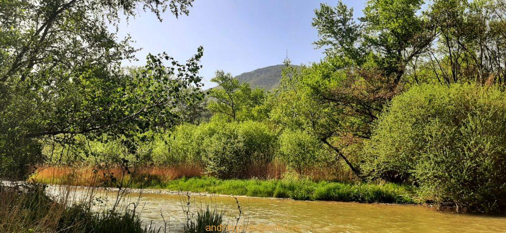 Последние фото из городов КМВ и Ставрополья