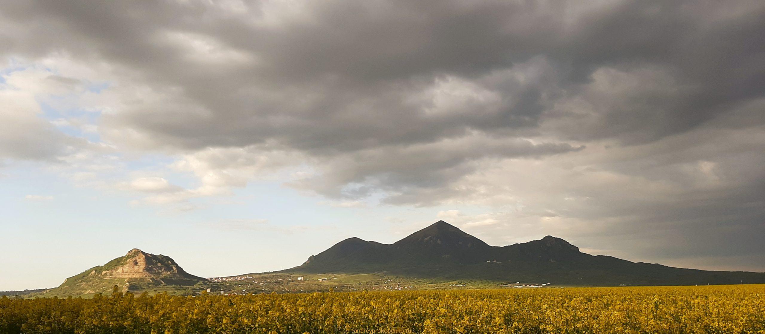 Цветение рапса на КМВ
