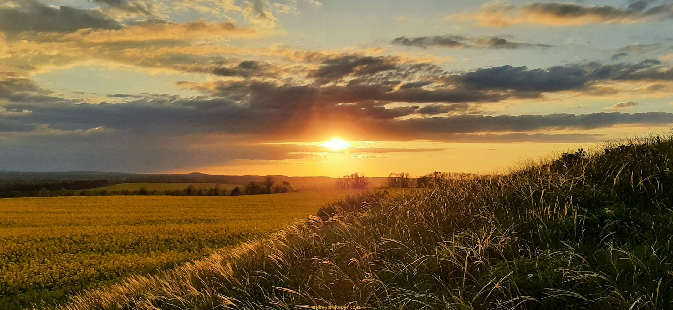 Цветение рапса на КМВ