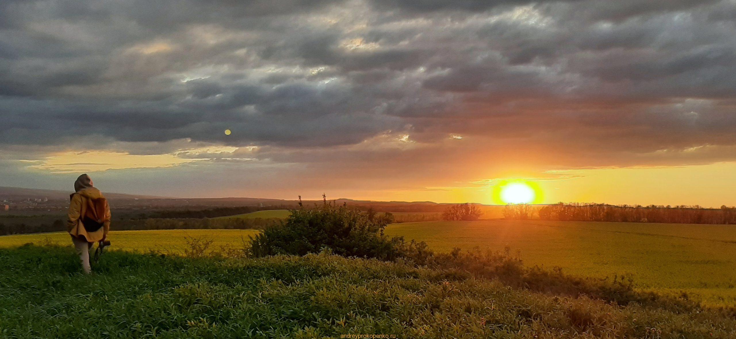 Цветение рапса на КМВ