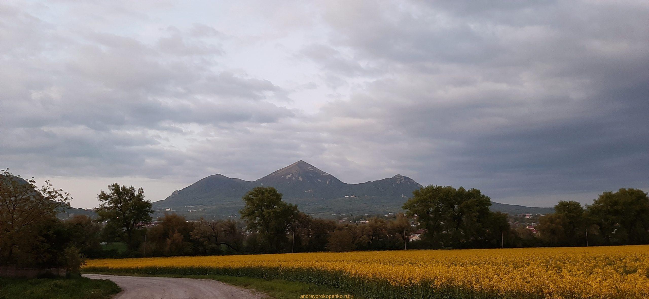 Цветение рапса на КМВ