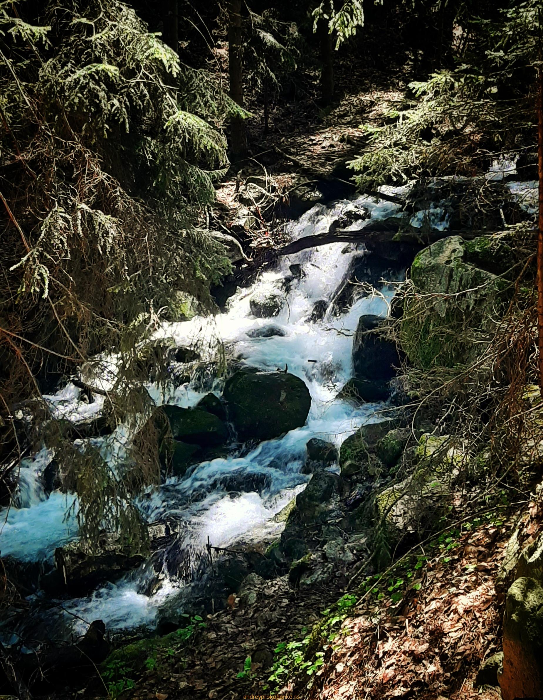 Путешествие в сказку. Домбайские вершины и сосны