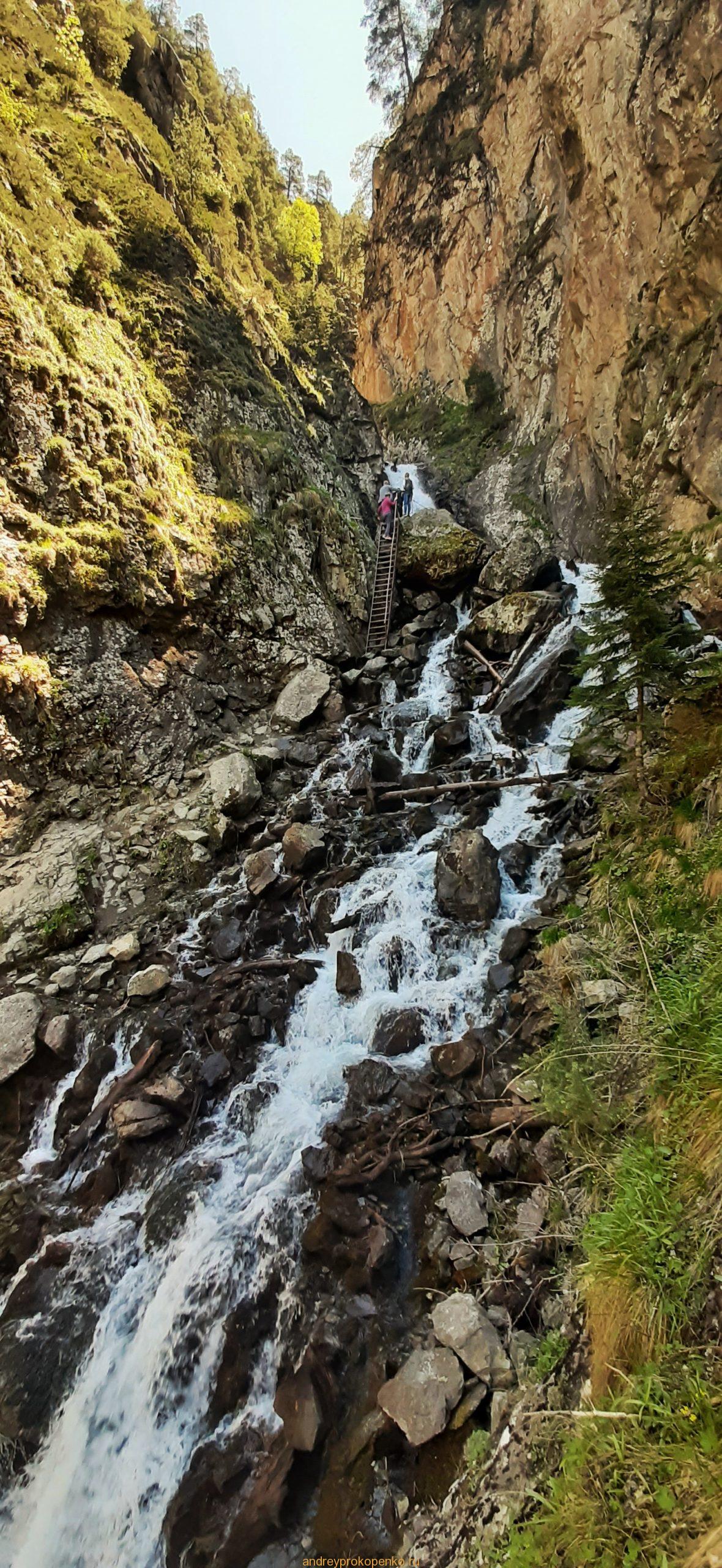 Путешествие в сказку. Домбайские вершины и сосны