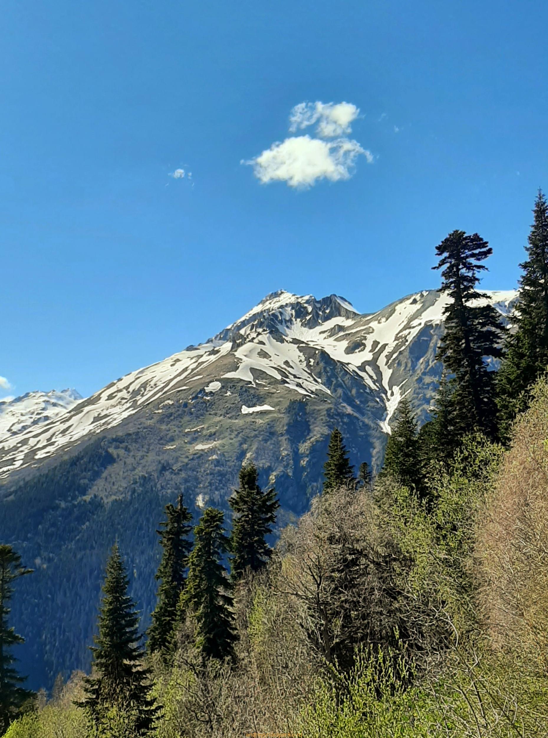 Путешествие в сказку. Домбайские вершины и сосны