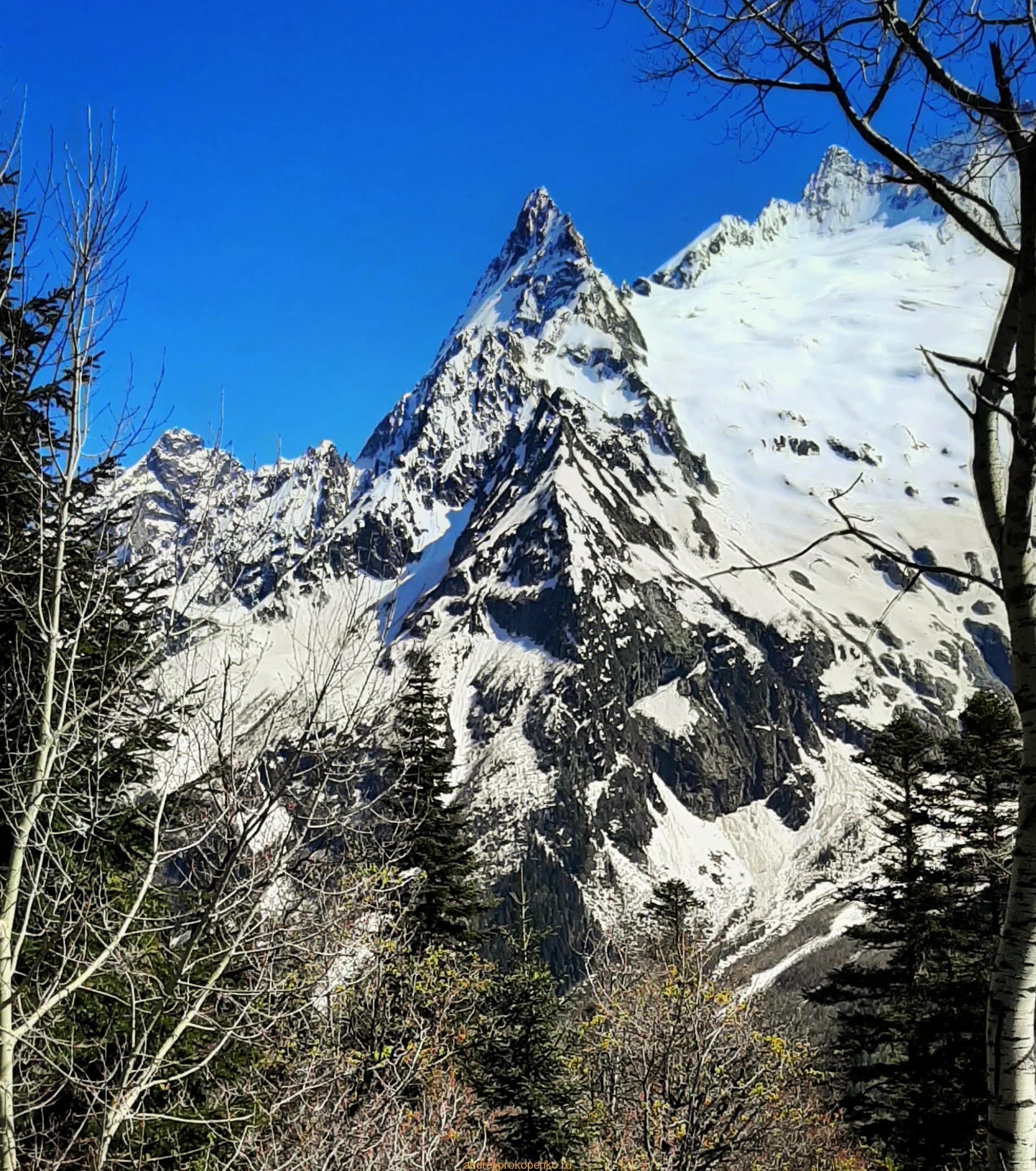 Путешествие в сказку. Домбайские вершины и сосны
