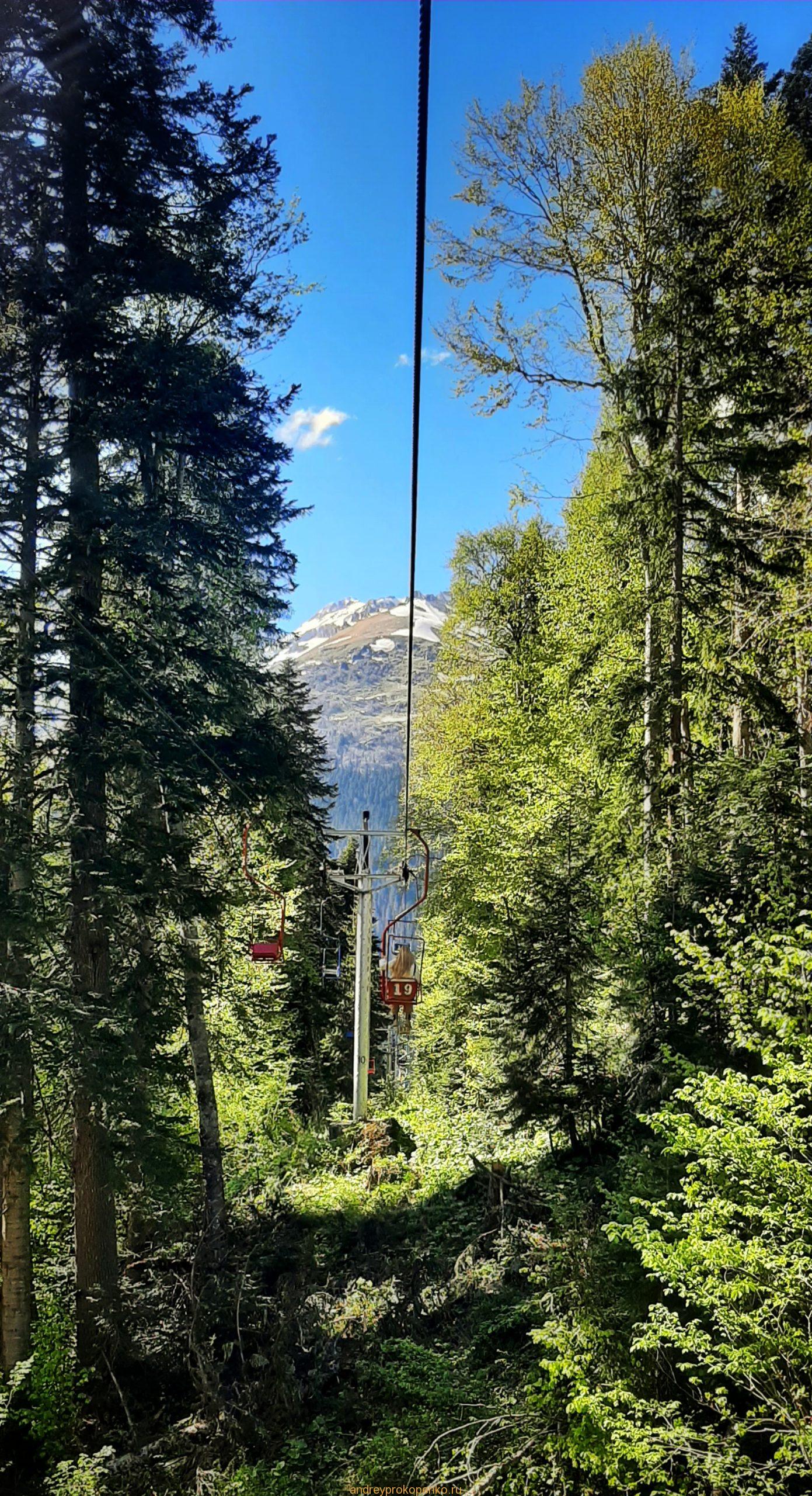 Путешествие в сказку. Домбайские вершины и сосны