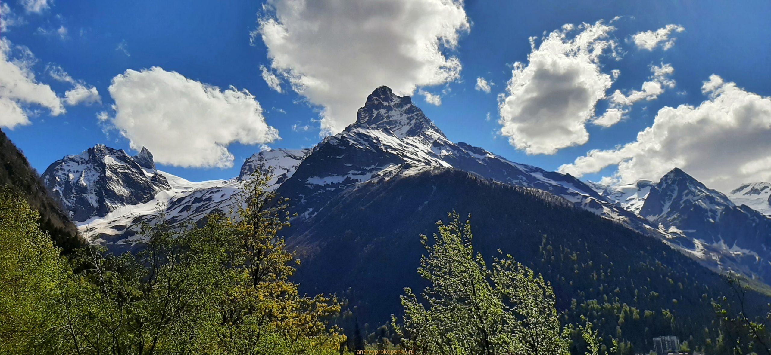 Путешествие в сказку. Домбайские вершины и сосны