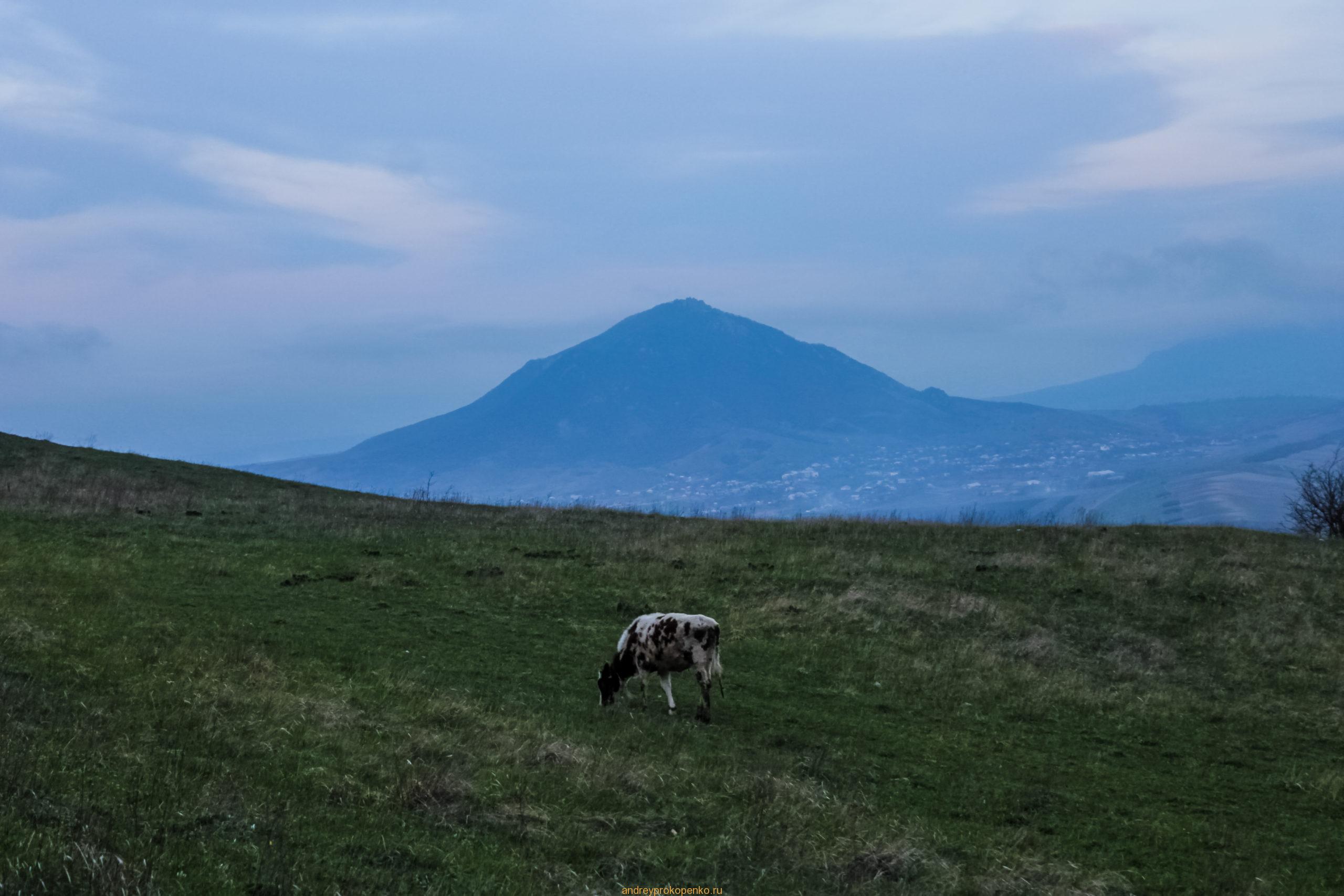 Гора Верблюд. Шикарный вид на окрестности КМВ