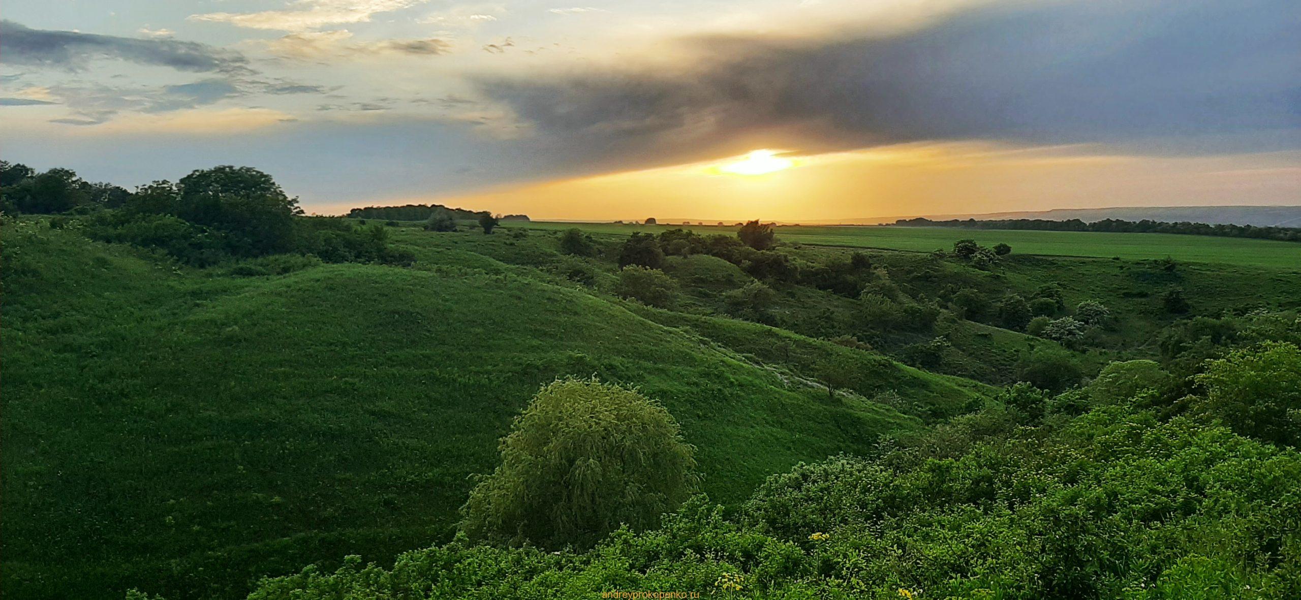 Закат на ромашковом поле около Ессентуков