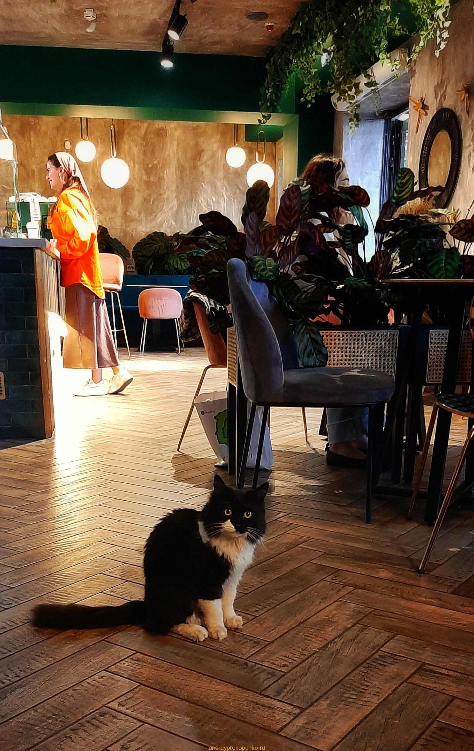 Хозяйка кофейни в Пятигорске