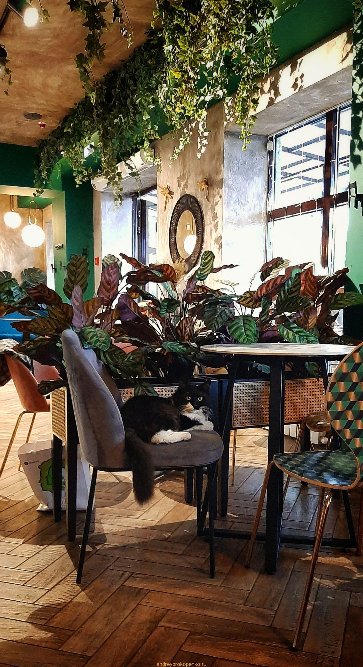 Хозяйка кофейни в Пятигорске