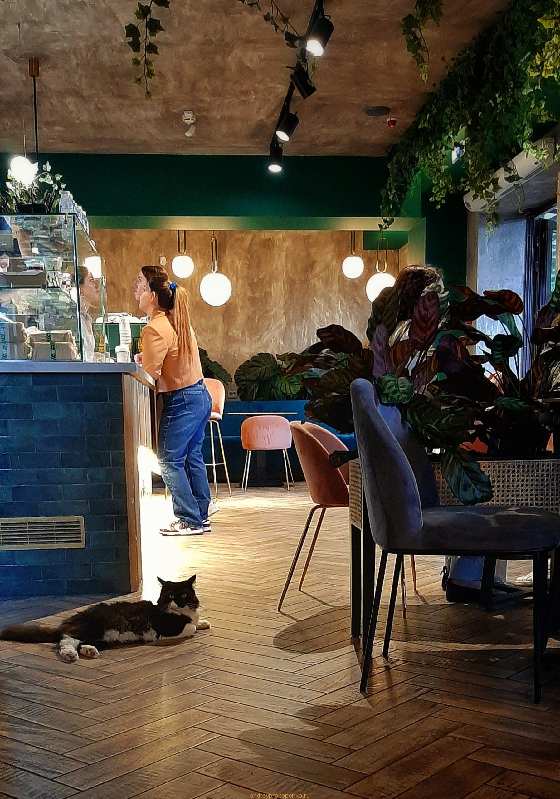 Хозяйка кофейни в Пятигорске