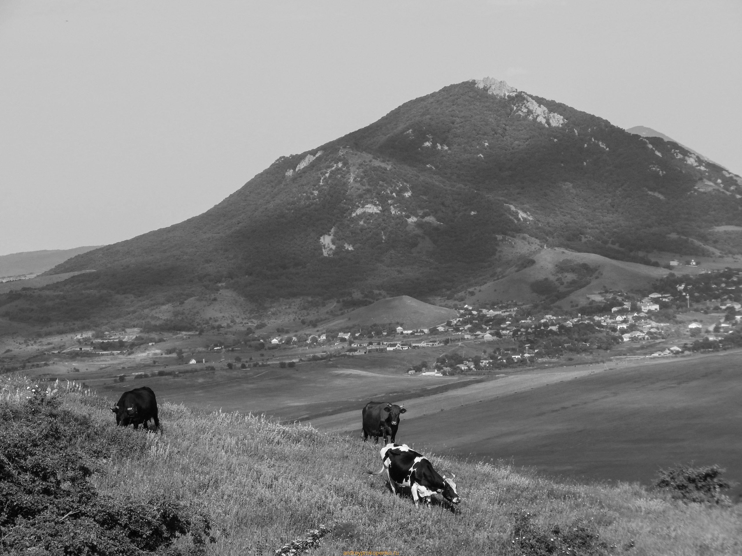 Черно-белая красота региона КМВ