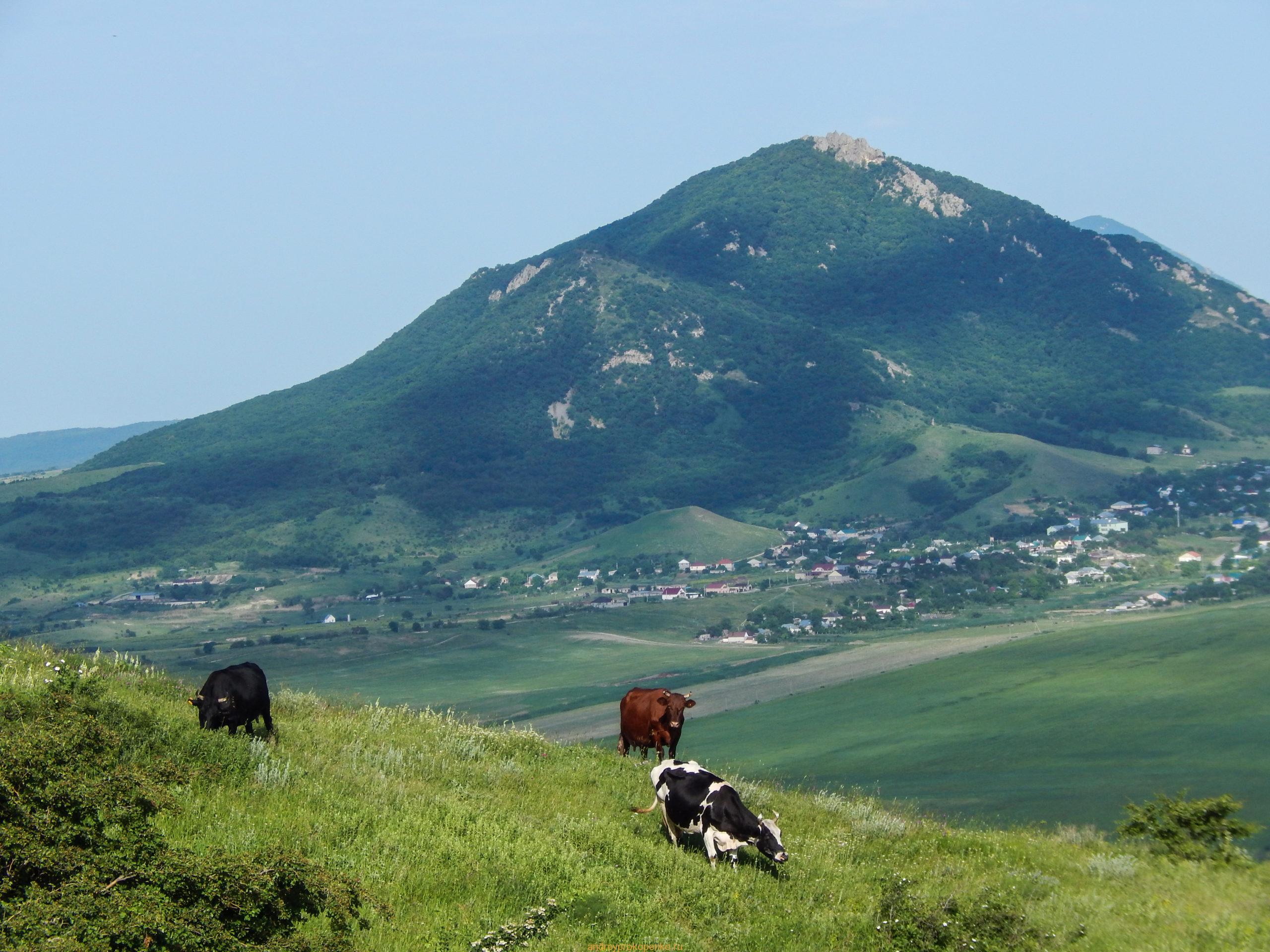 Поход на гору Верблюд на КМВ. Лето, цветы, облака