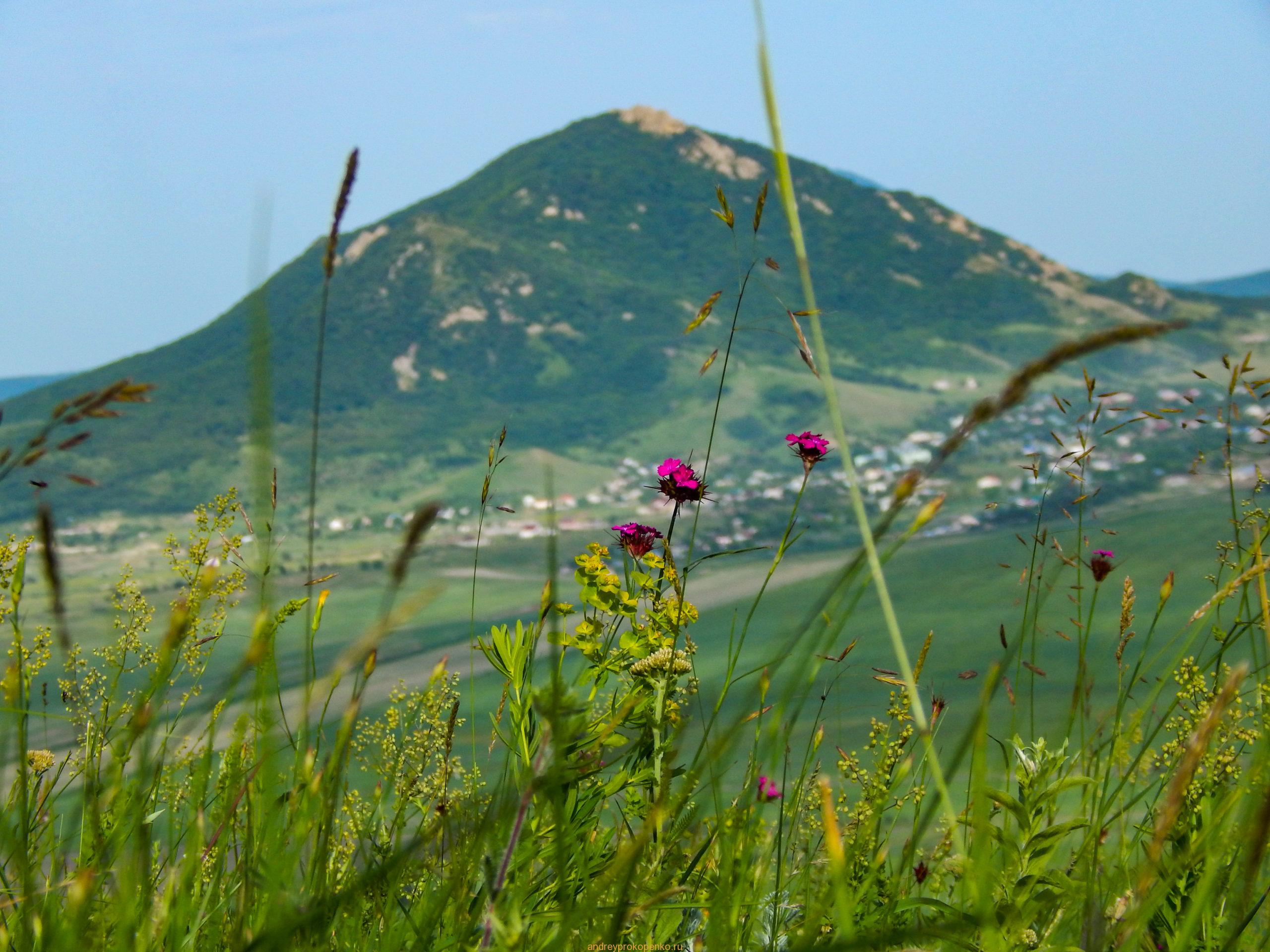 Поход на гору Верблюд на КМВ. Лето, цветы, облака
