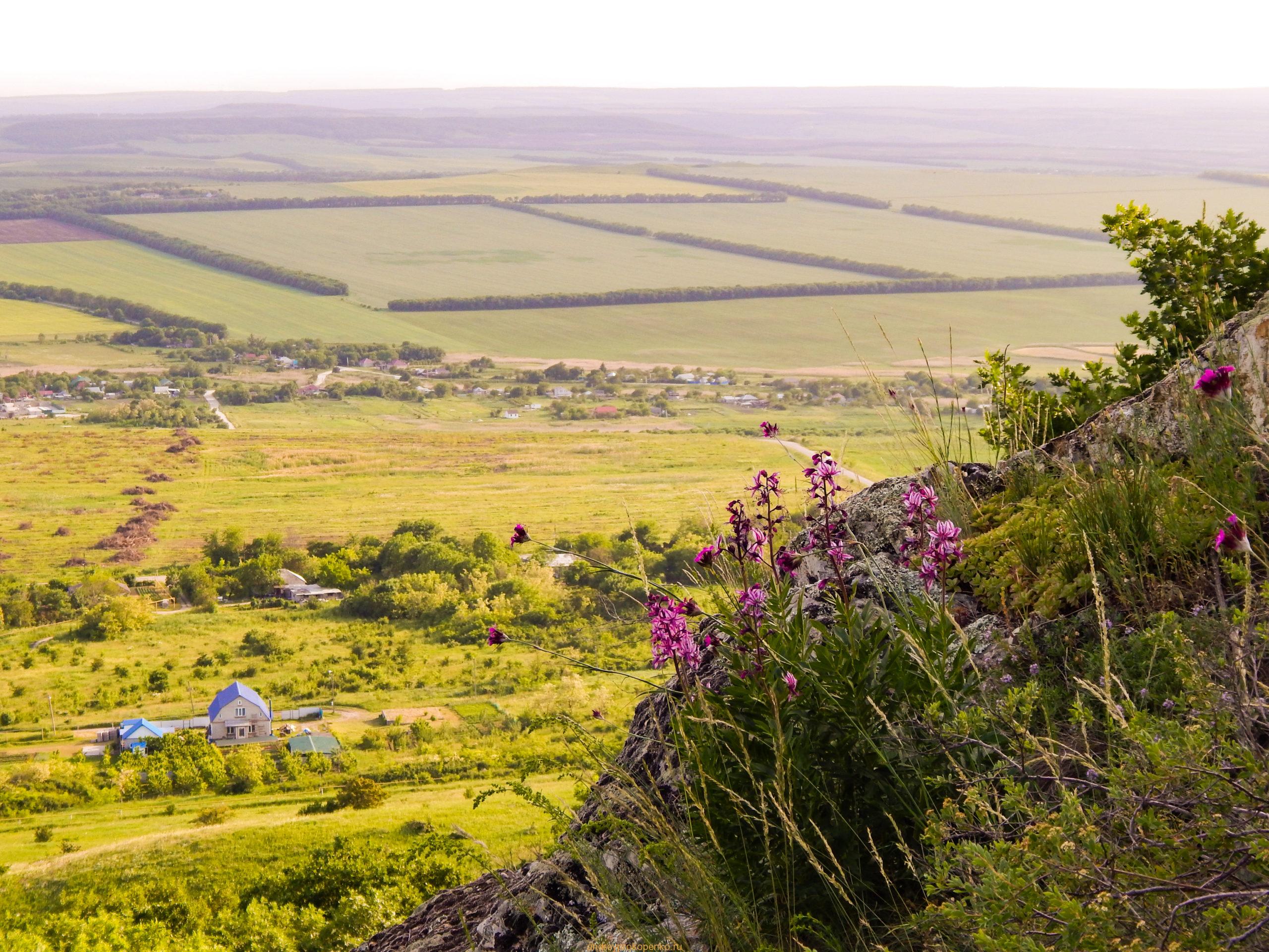 Поход на гору Верблюд на КМВ. Лето, цветы, облака