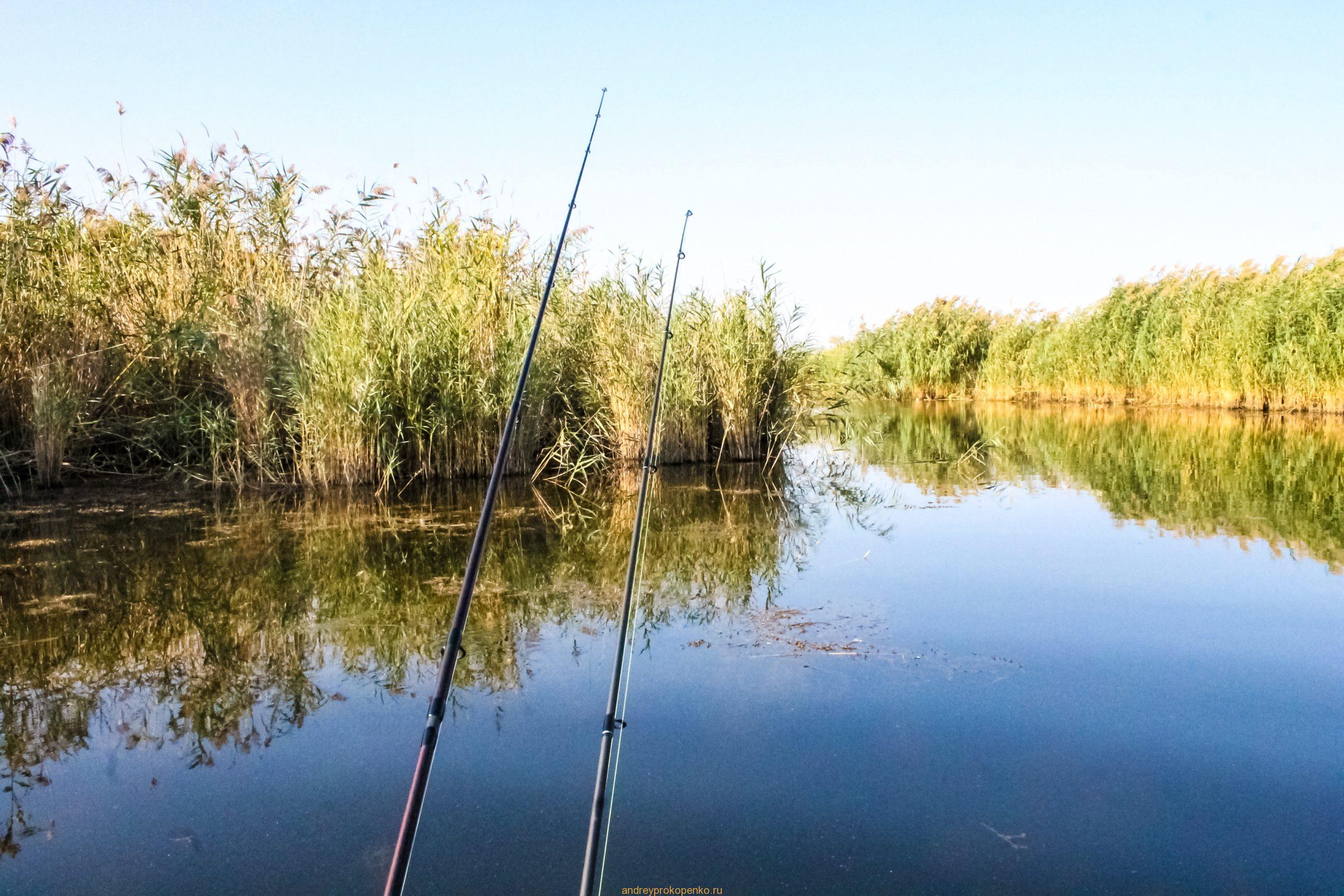 Поездка в Астраханскую область на рыбалку