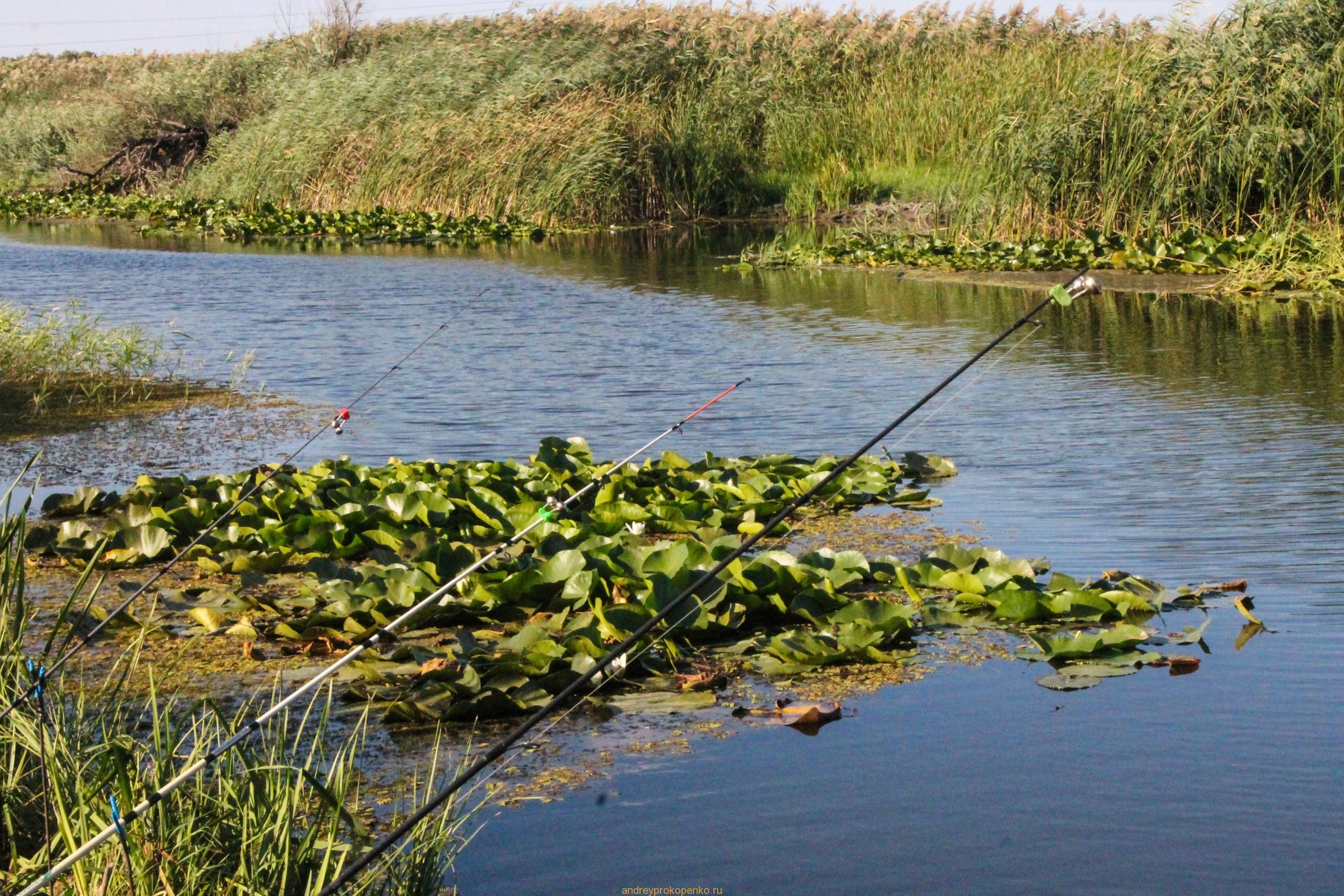 Поездка в Астраханскую область на рыбалку