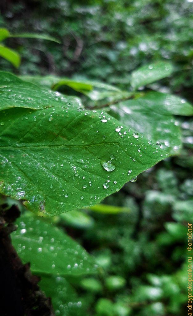 Фотосборник из Пятигорска и городов КМВ
