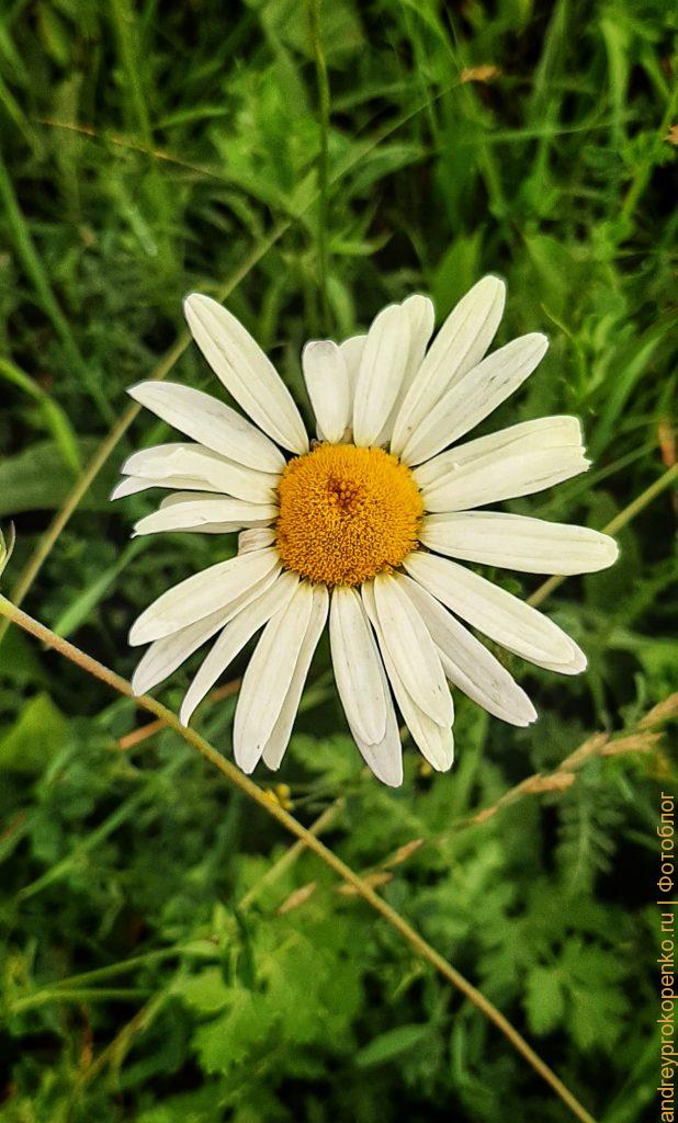 Фотосборник из Пятигорска и городов КМВ