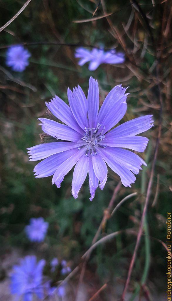 Фотосборник из Пятигорска и городов КМВ
