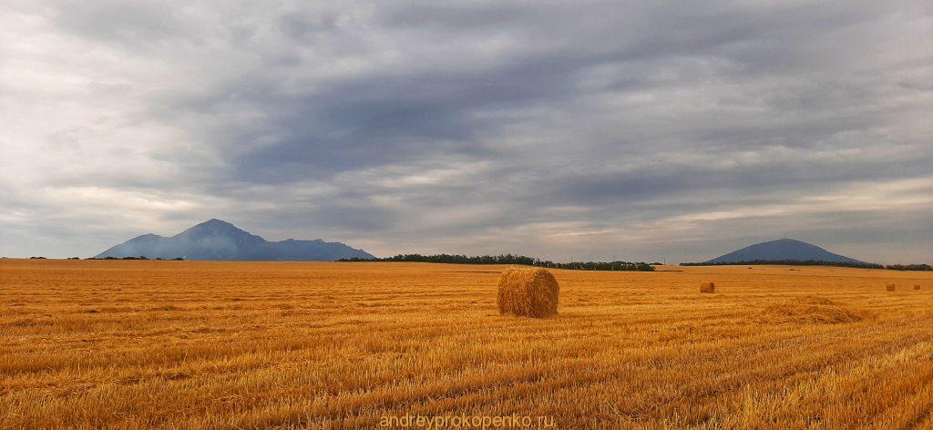 Поля и горы региона КМВ