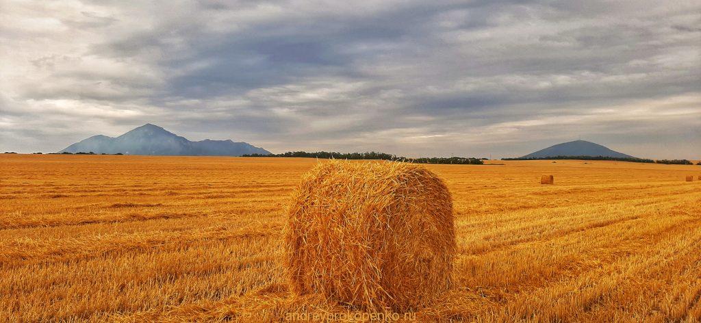 Поля и горы региона КМВ
