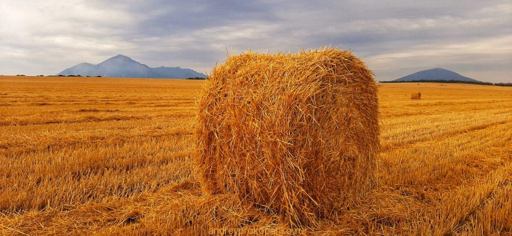 Поля и горы региона КМВ