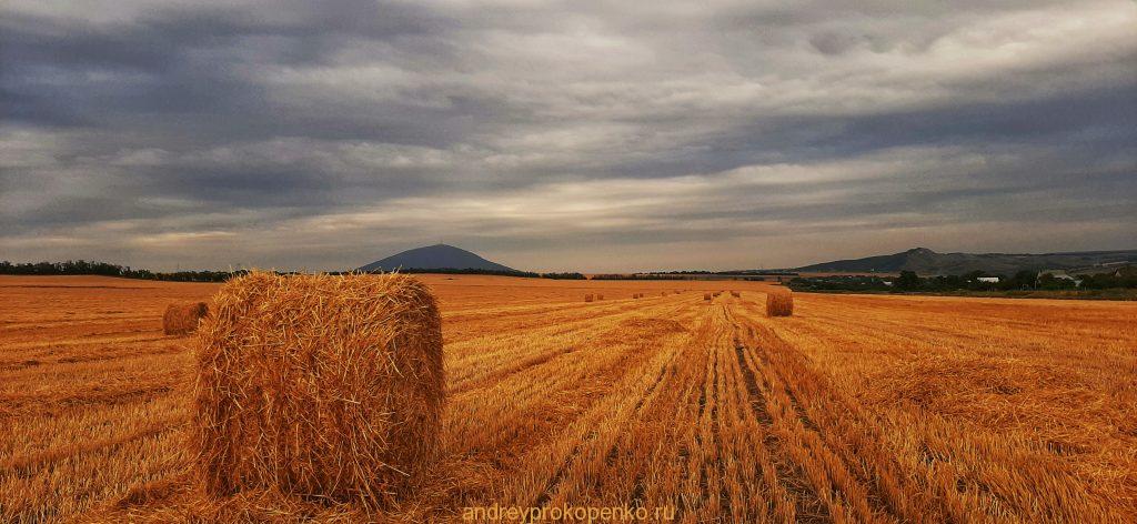 Поля и горы региона КМВ