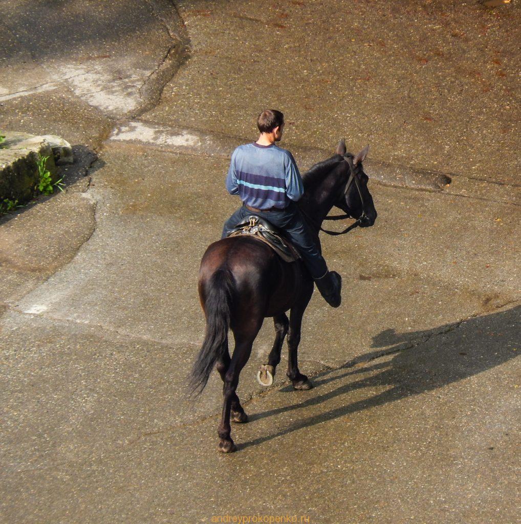 Летняя прогулка в окрестностях Кисловодска