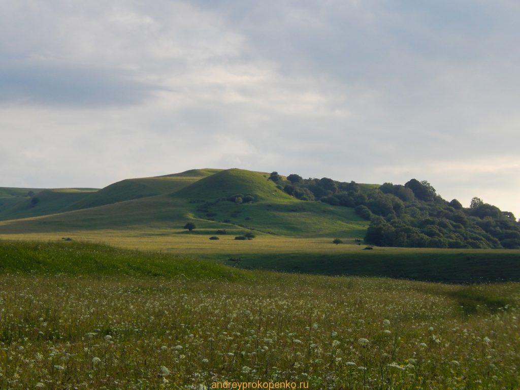 Летняя прогулка в окрестностях Кисловодска