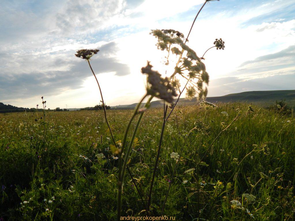 Летняя прогулка в окрестностях Кисловодска