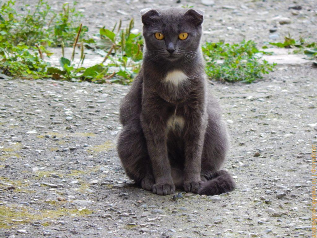 Почти осенняя прогулка по Пятигорску. Старинные дворики курортного городка