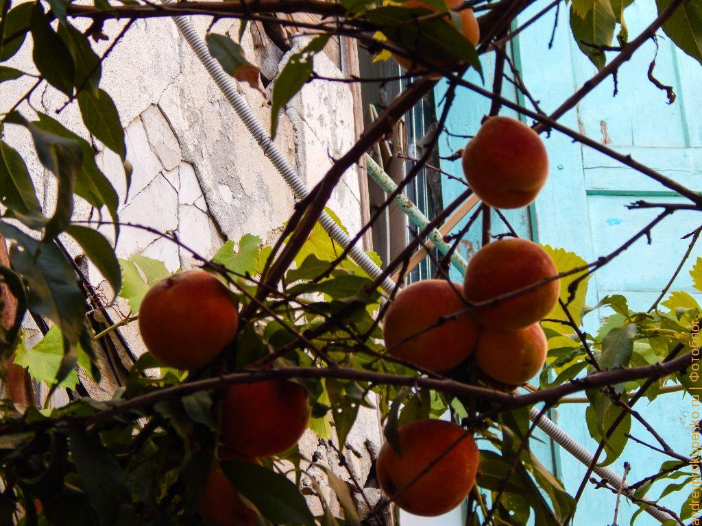 Почти осенняя прогулка по Пятигорску. Старинные дворики курортного городка