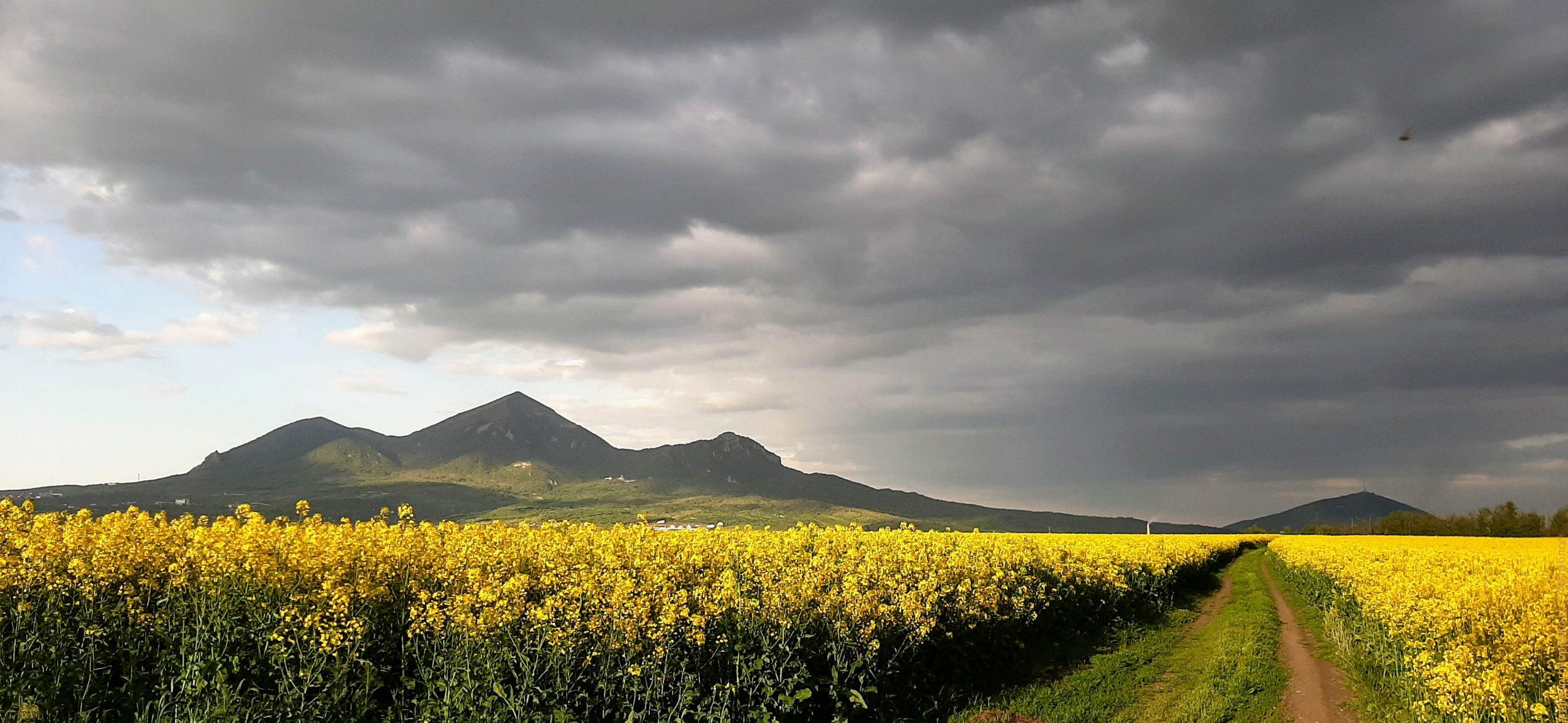 Реклама в Пятигорске и городах КМВ