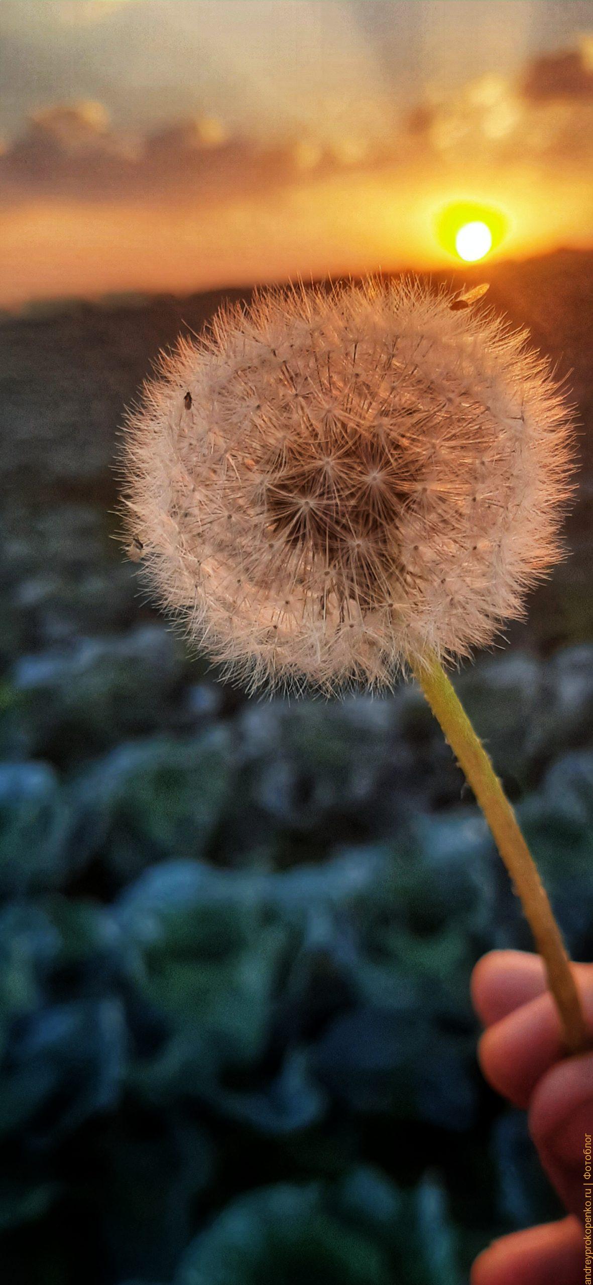 Одно из лучших изобретений человечества - окрошка