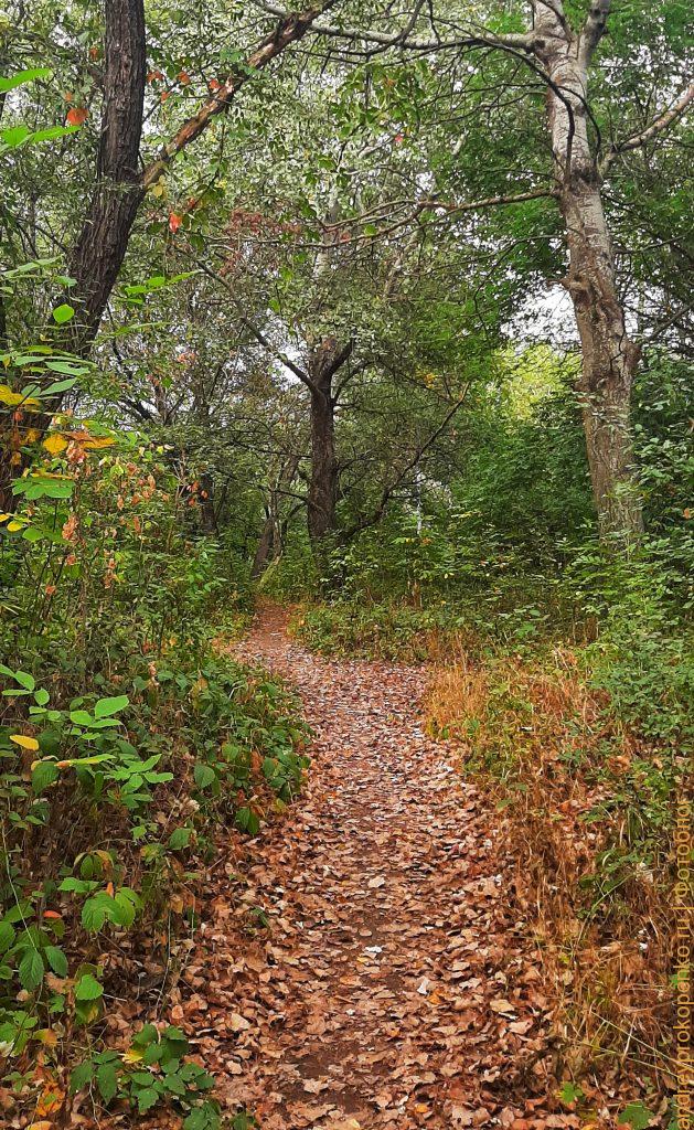 Осенняя прогулка около горной реки Подкумок в Пятигорске