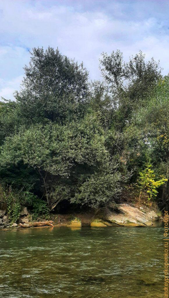 Осенняя прогулка около горной реки Подкумок в Пятигорске