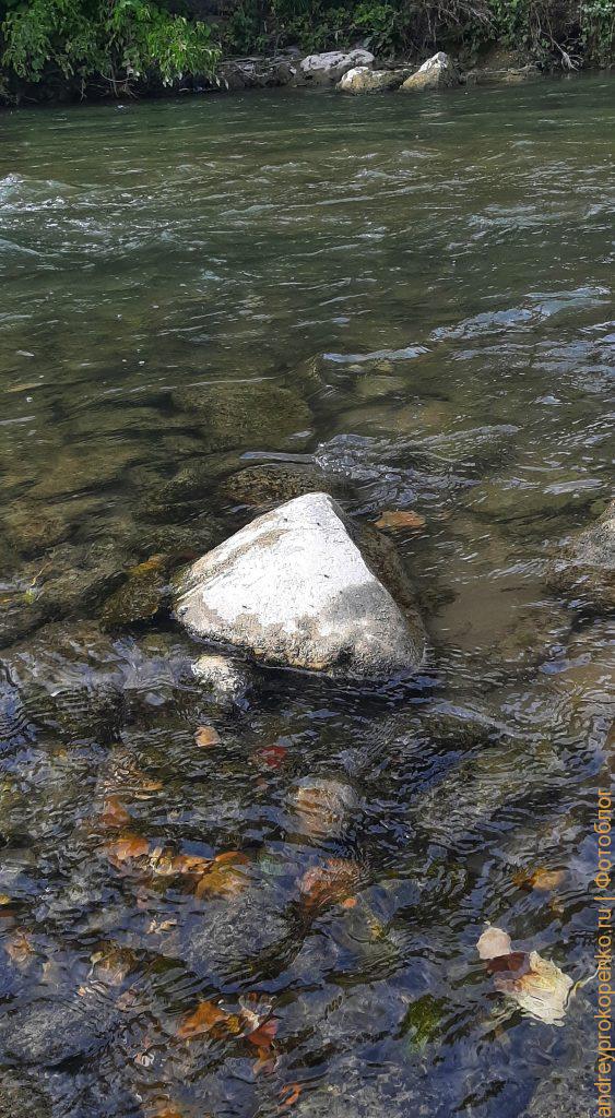 Осенняя прогулка около горной реки Подкумок в Пятигорске