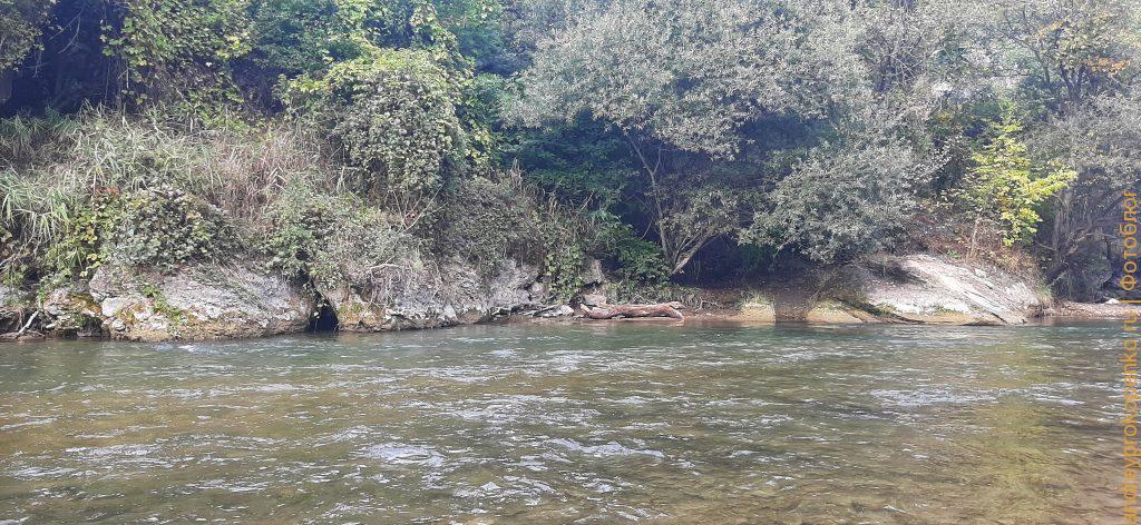 Осенняя прогулка около горной реки Подкумок в Пятигорске