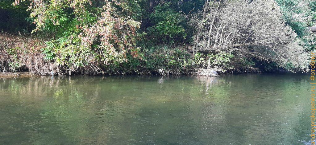 Осенняя прогулка около горной реки Подкумок в Пятигорске