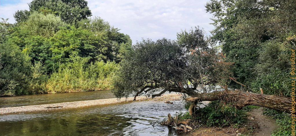 Осенняя прогулка около горной реки Подкумок в Пятигорске