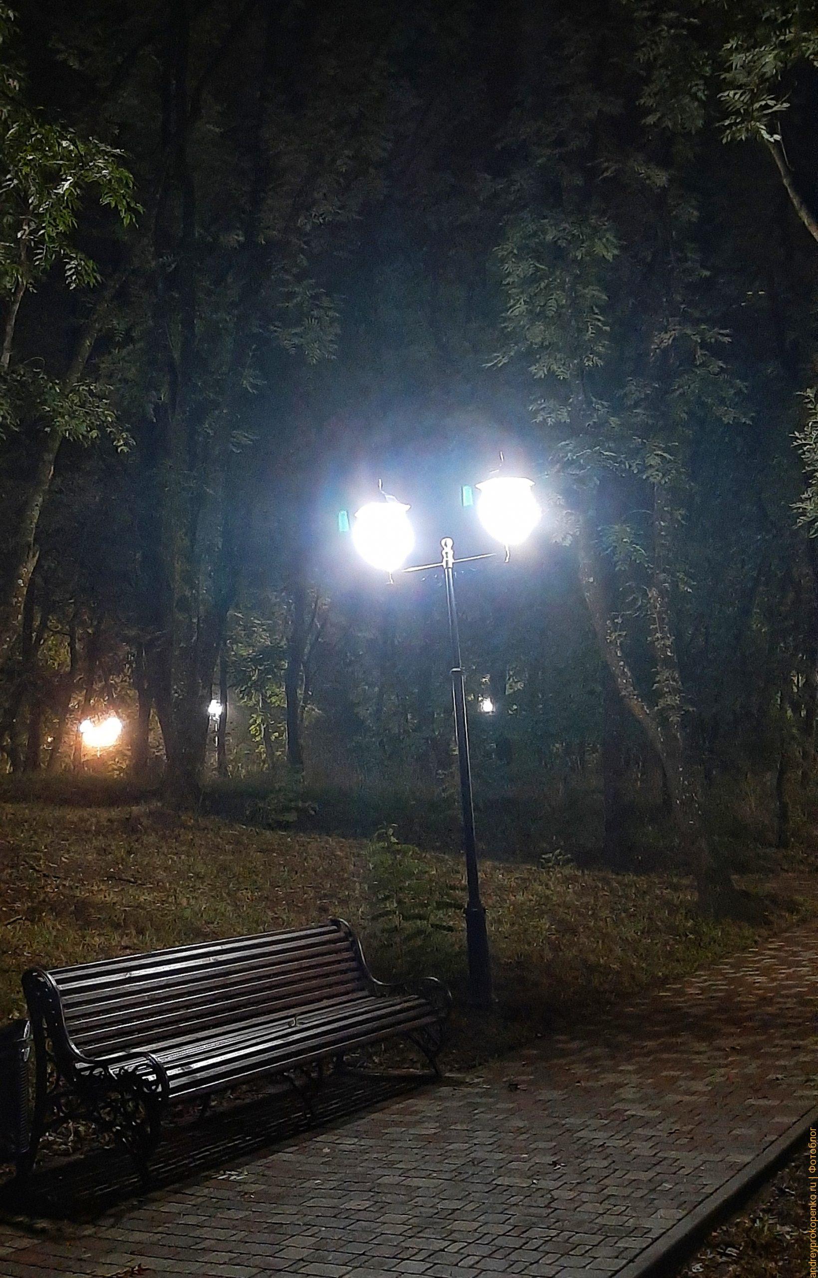 Домашний виноград. Осень и природа в Пятигорске