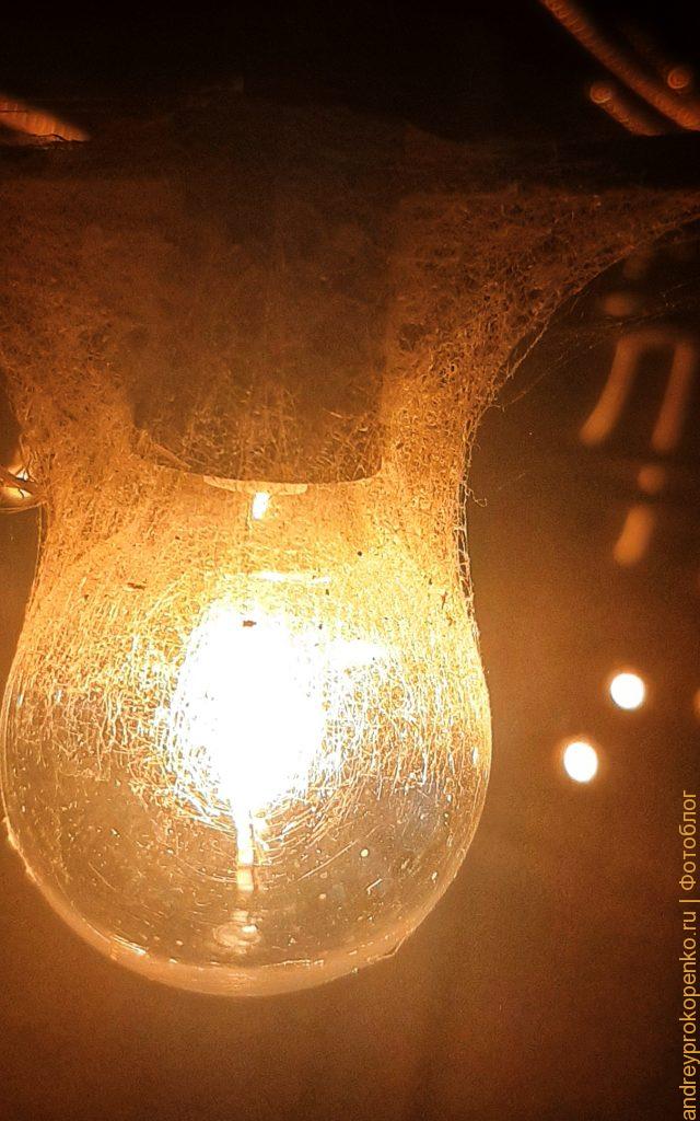 Пятигорские лампочки, дороги и парки