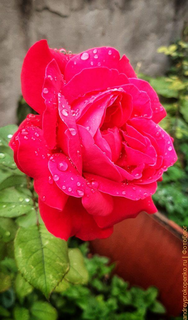 Осенняя прогулка по Пятигорску