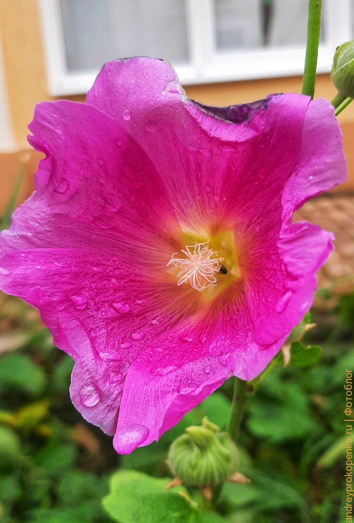 Осенняя прогулка по Пятигорску