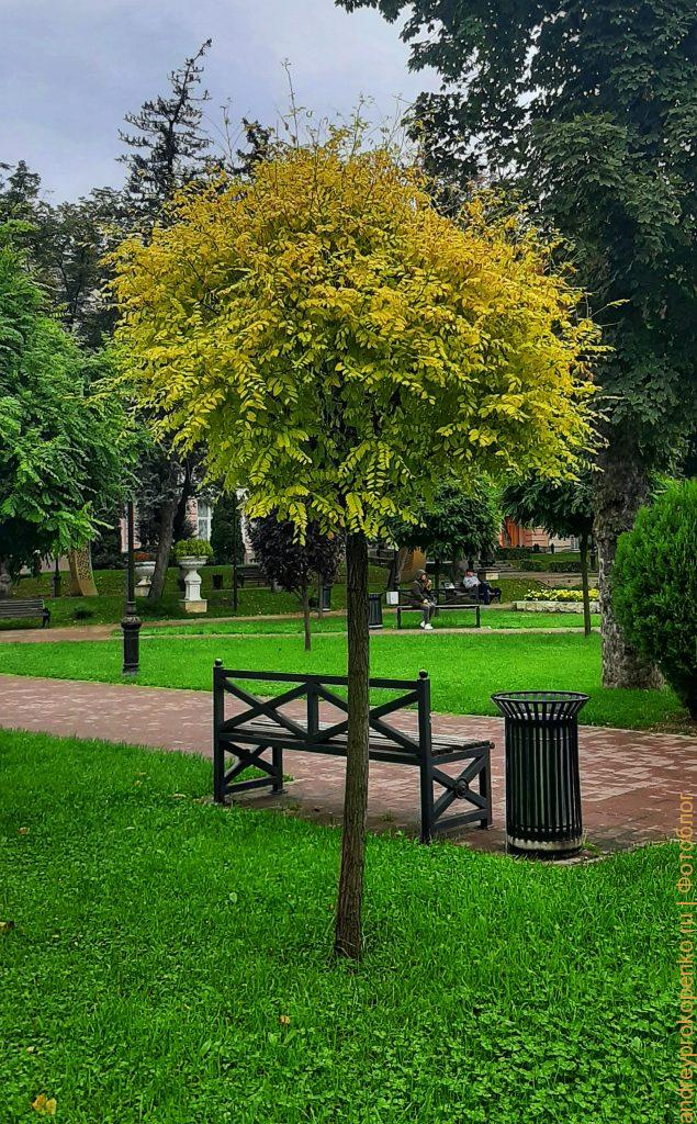 Осенняя прогулка по Пятигорску